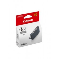 Canon cartridge CLI-65 GY EUR/OCN 4219C001