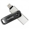 SanDisk iXpand Flash Drive Go 256 GB SDIX60N-256G-GN6NE