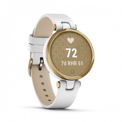 GARMIN Smart hodinky LILY, Classic, Gld/WL 010-02384-B3