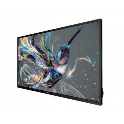 Philips/32BDL3511Q/31,5"/VA/FHD/60Hz/65ms/Black/3R 32BDL3511Q/00