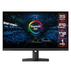 MSI Gaming monitor MAG321QR QD, 31,5"/2560 x 1440 /IPS,...