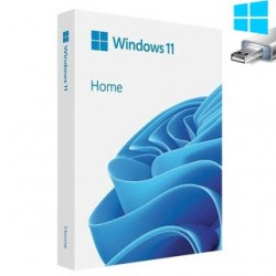 MS WINDOWS 11 Home SK 64 bit USB HAJ-00100