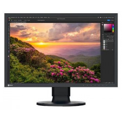 EIZO 24,1" CS2400S, 1920 x 1200, IPS (WG),16:10, 410 cd/m2, 1350:1,...