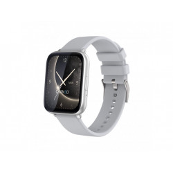 CARNEO Artemis HR+/Silver/Elegant Band/Silver 8588009299264