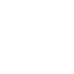 Apple AirPods Pro 3g. with MagSafe Case (USB-C) MFHP4ZM/A