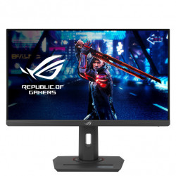 ASUS ROG/Strix XG259QNS/24,5"/IPS/FHD/380Hz/1ms/Black/3R...
