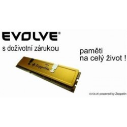 EVOLVEO DDR III 4GB 1600MHz (KIT 2x2GB) EVOLVEO GOLD (s...