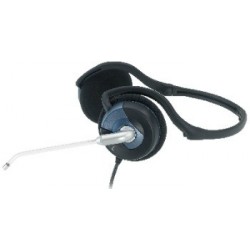Genius slúchadlá HS-300N, s mikrofónom 31710146100